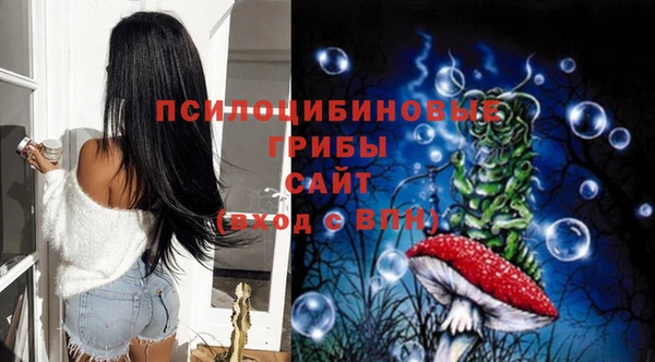 герыч Алзамай