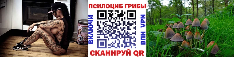 Псилоцибиновые грибы мицелий  Уссурийск 