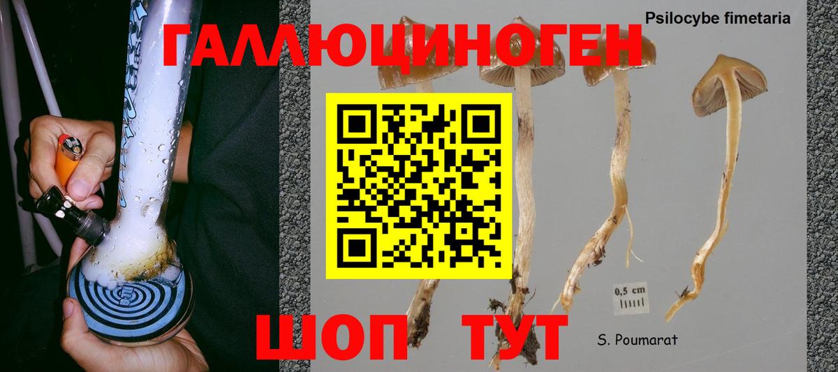 Галлюциногенные грибы Psilocybine cubensis  Вход с VPN  Уссурийск  Галлюциногенные грибы Magic Shrooms 